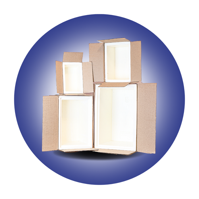 Cold chain boxes