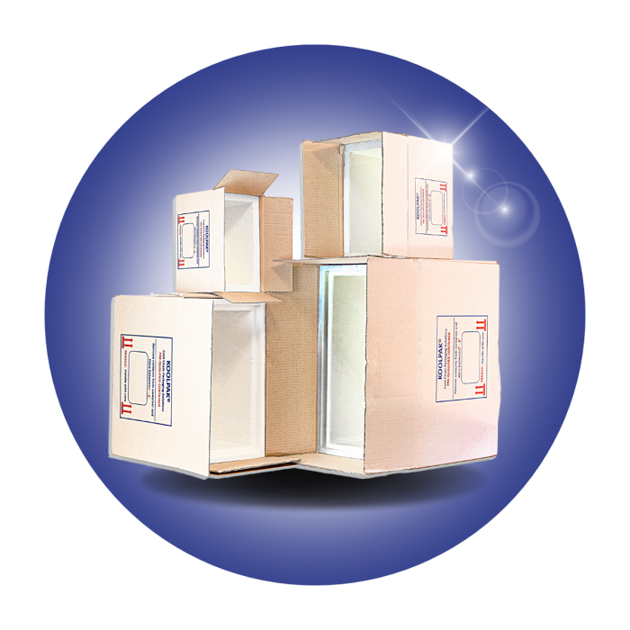 Cold chain boxes